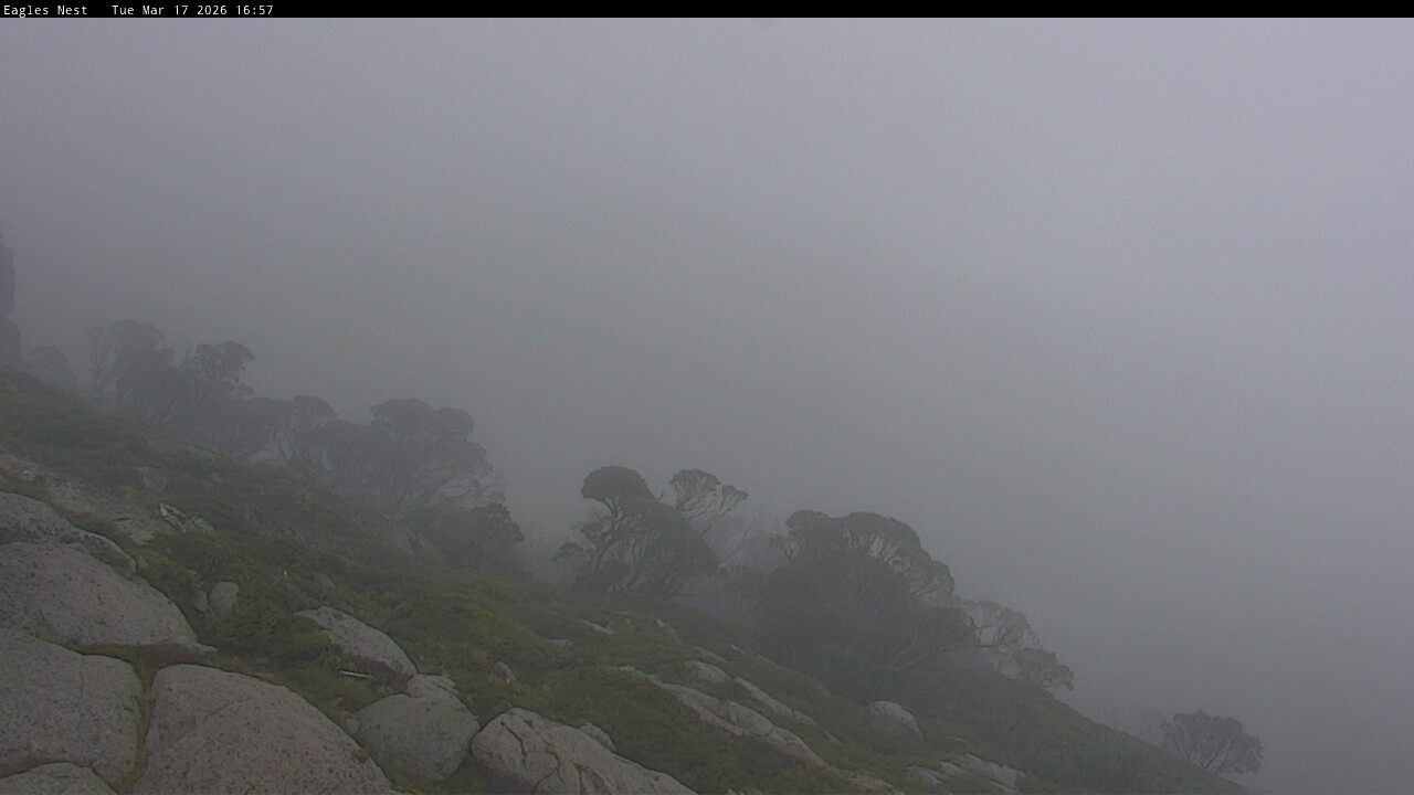 Webcam Thredbo: Central Spur