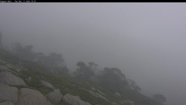 Webcam Thredbo: Central Spur