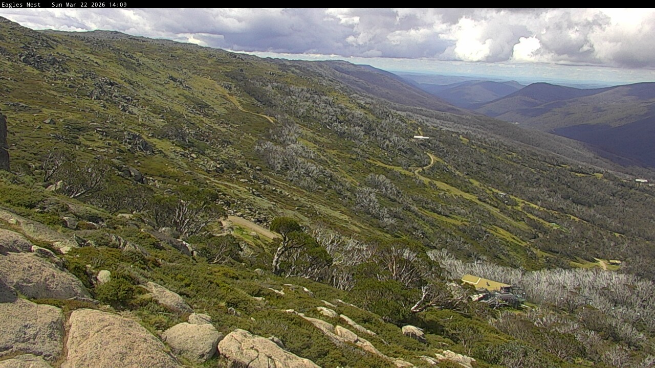 Webcam Thredbo: Central Spur