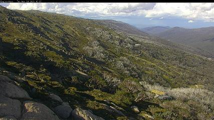 Thredbo: Central Spur (thredbo.com.au)