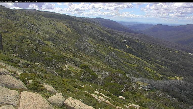 Webcam Thredbo: Central Spur