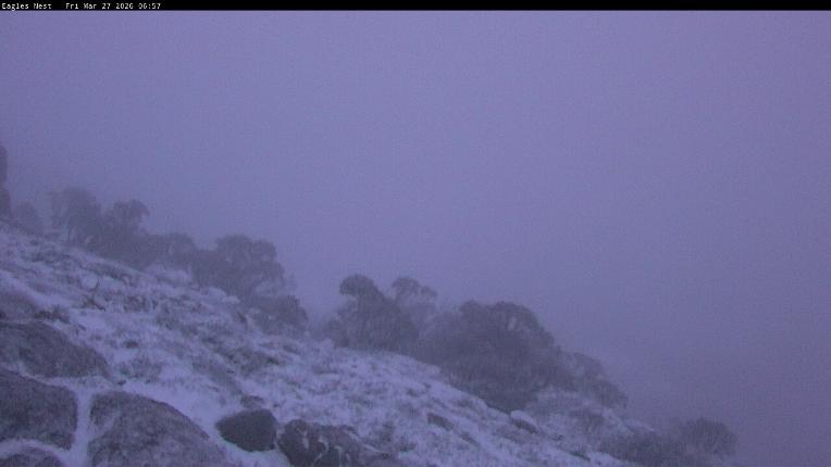 Webcam Thredbo: Central Spur