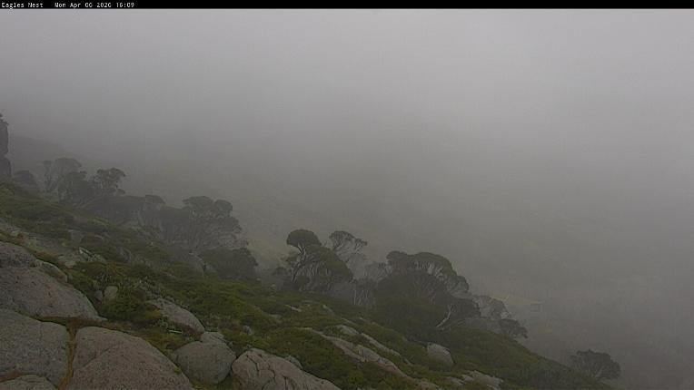 Webcam Thredbo: Central Spur