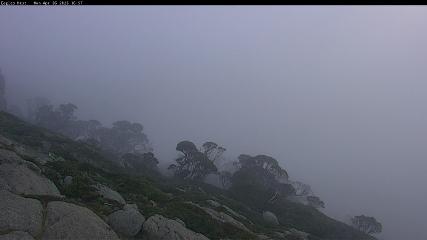 Thredbo: Central Spur (thredbo.com.au)