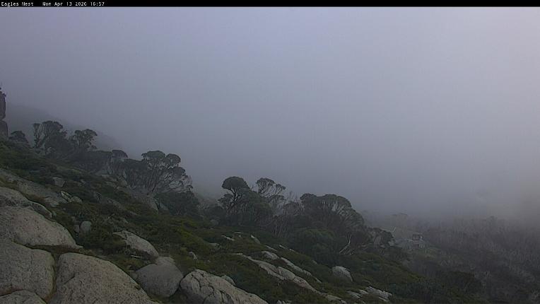 Webcam Thredbo: Central Spur