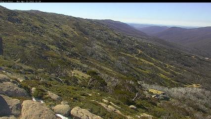 Thredbo: Central Spur (thredbo.com.au)