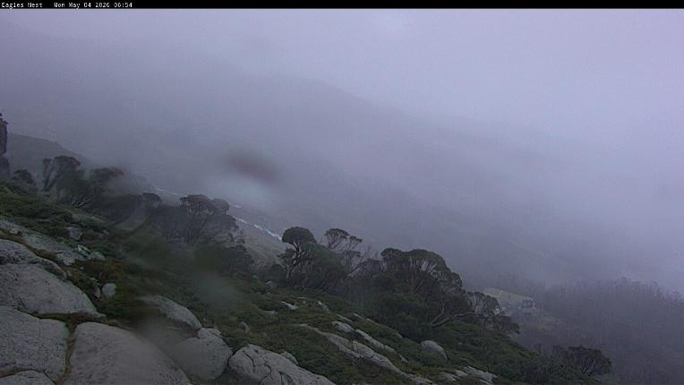 Webcam Thredbo: Central Spur