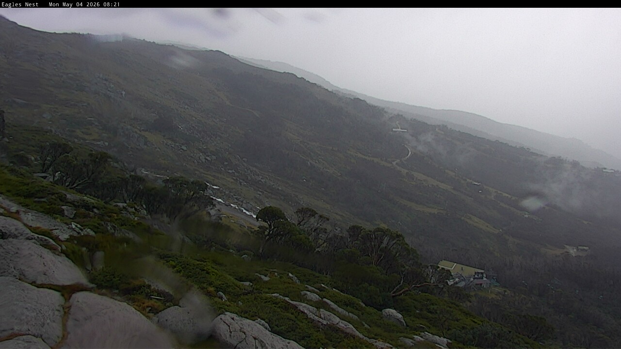 Webcam Thredbo: Central Spur