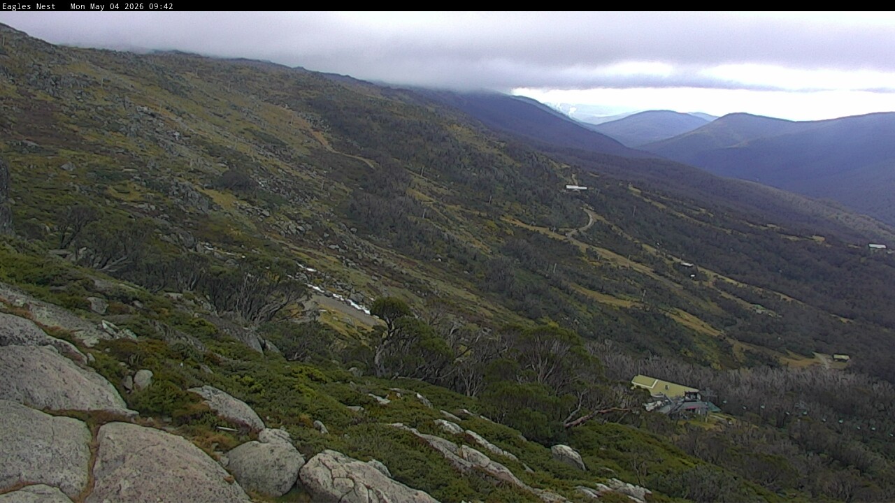 Webcam Thredbo: Central Spur