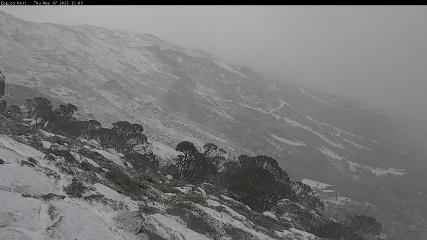 Thredbo: Central Spur (thredbo.com.au)