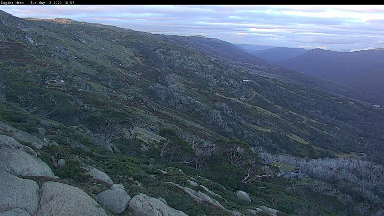 Webcam Thredbo: Central Spur
