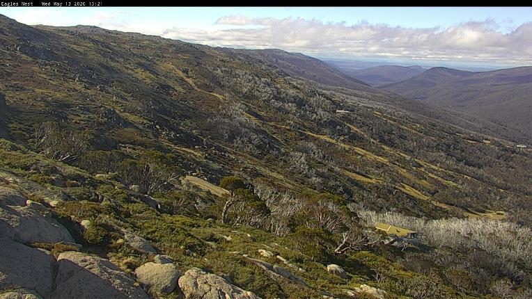 Webcam Thredbo: Central Spur