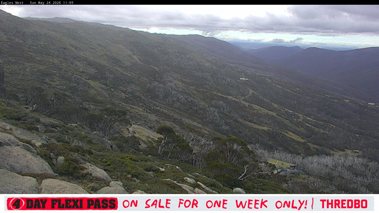 Webcam Thredbo: Central Spur