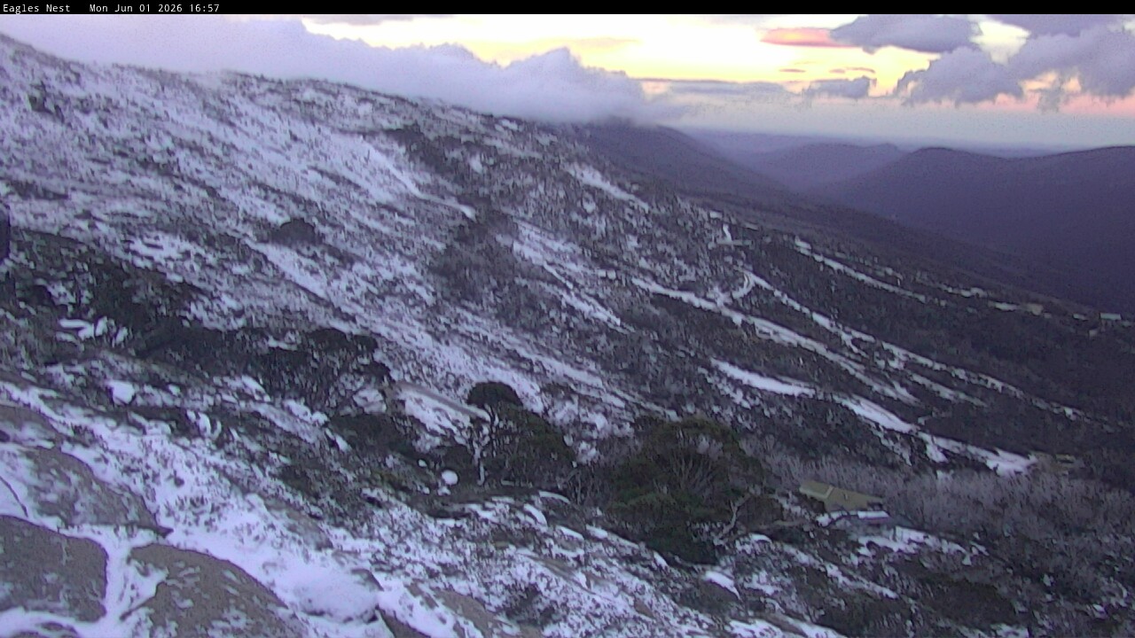 Webcam Thredbo: Central Spur