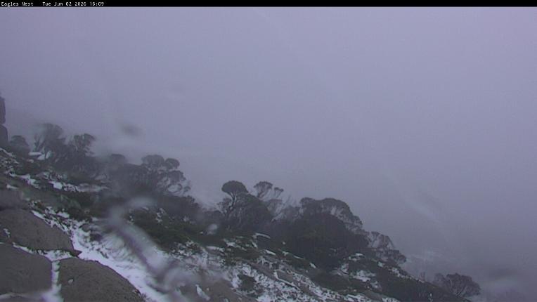 Webcam Thredbo: Central Spur