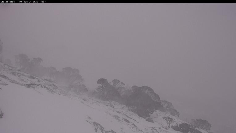Webcam Thredbo: Central Spur