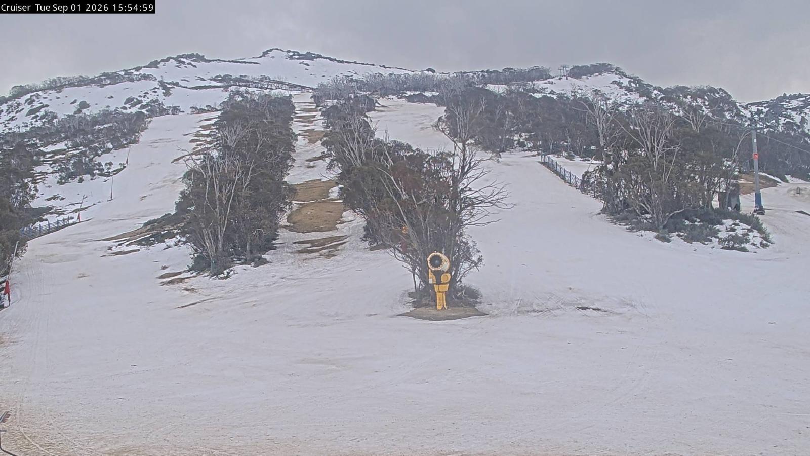 Webcam Thredbo: Cruiser aerea