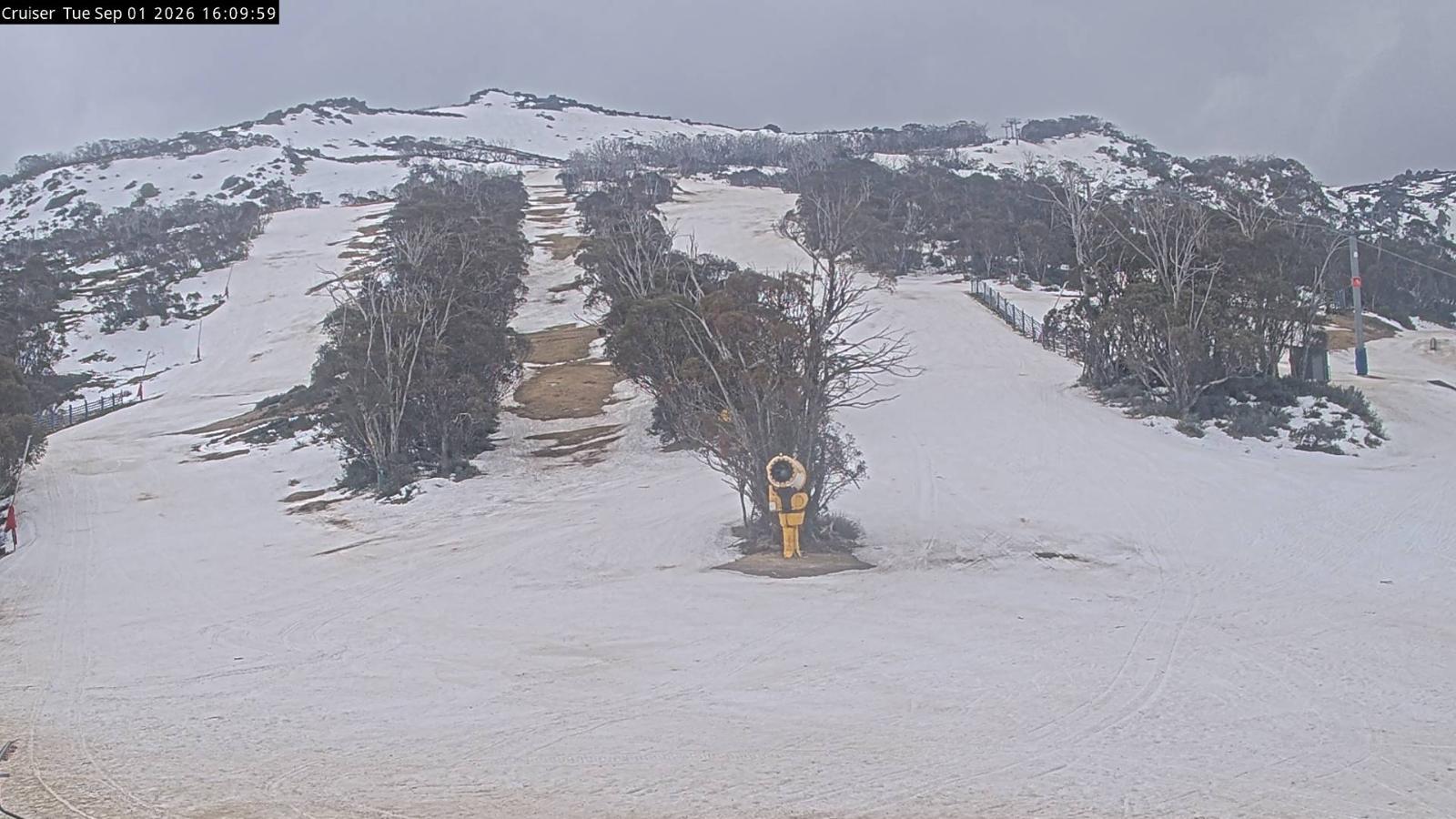 Webcam Thredbo: Cruiser aerea