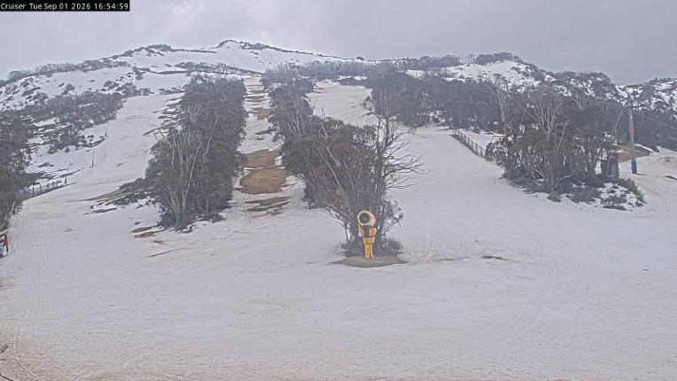 Webcam Thredbo: Cruiser aerea