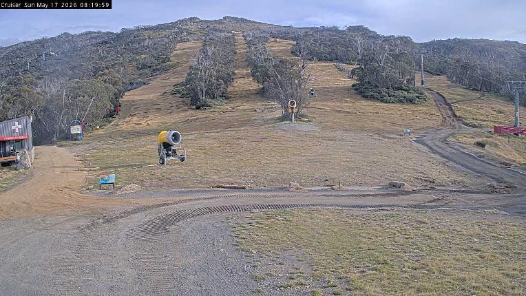 Webcam Thredbo: Cruiser aerea