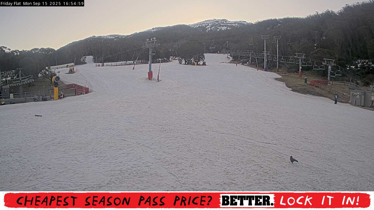 Webcam Thredbo: Friday Flat