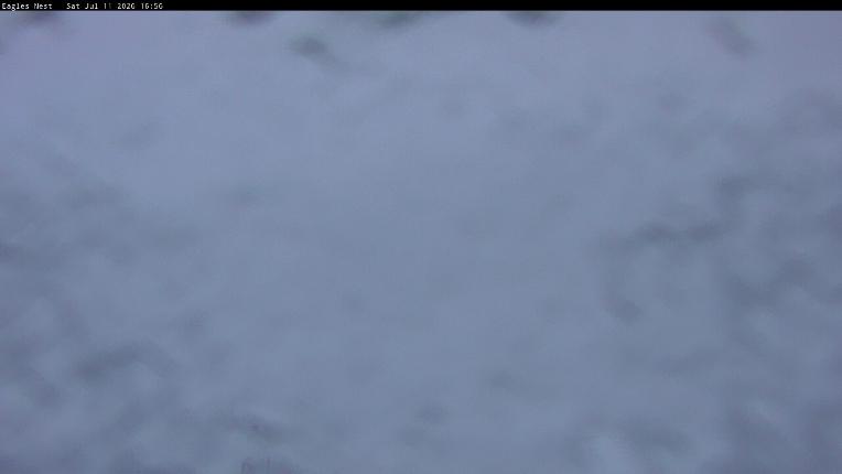 Webcam Thredbo: Kosciuszko walking track