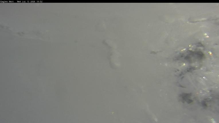 Webcam Thredbo: Kosciuszko walking track