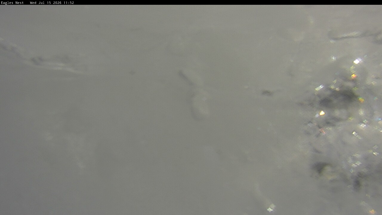 Webcam Thredbo: Kosciuszko walking track
