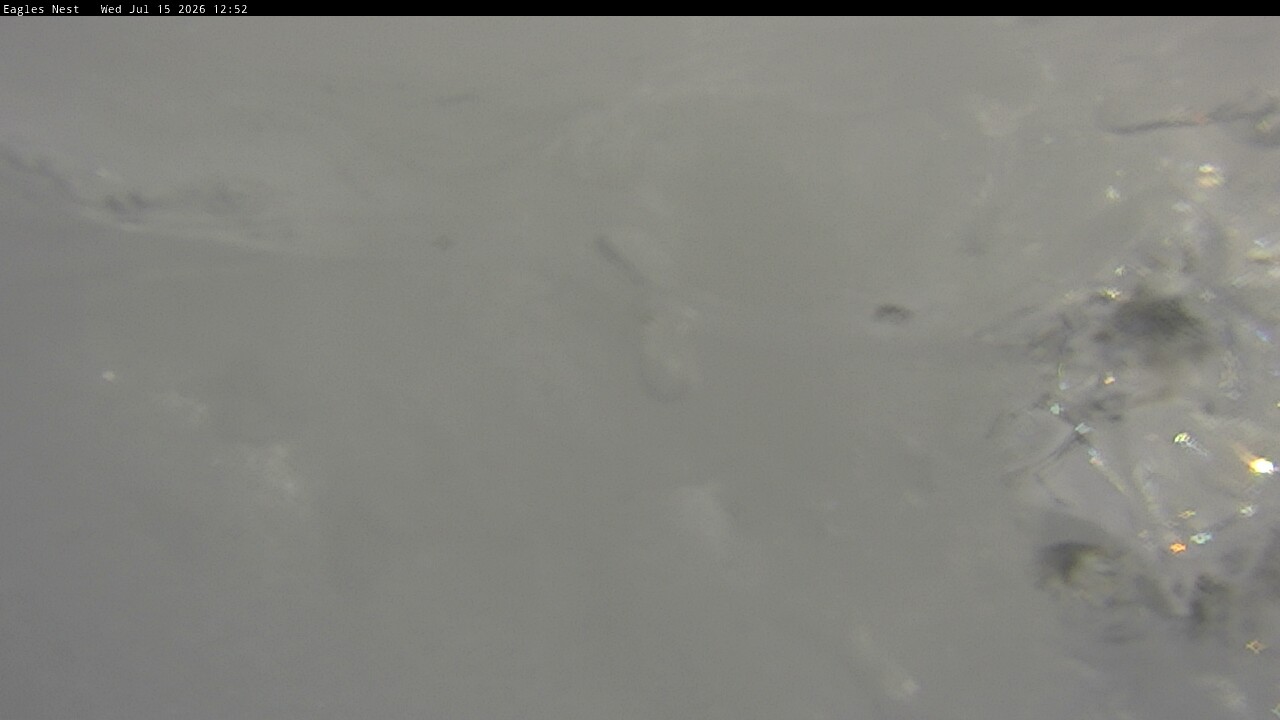 Webcam Thredbo: Kosciuszko walking track