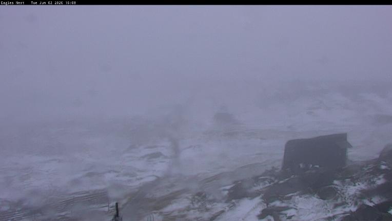 Webcam Thredbo: Kosciuszko walking track