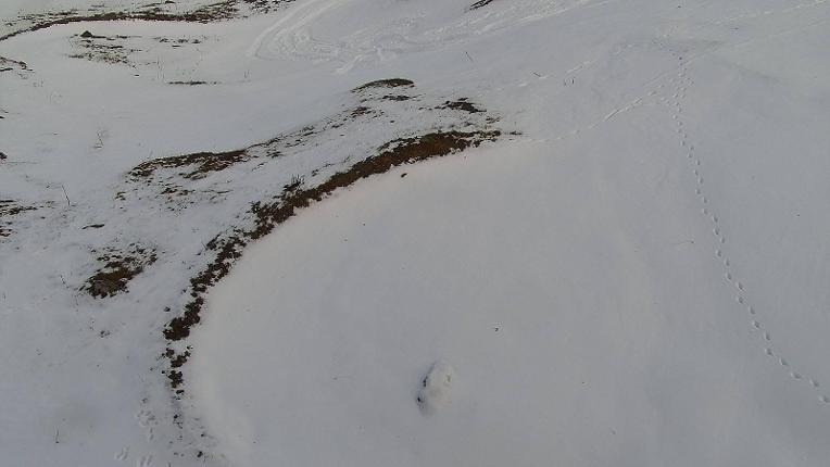 Webcam Titlis Engelberg: Jochpass