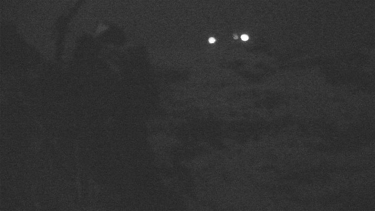 Webcam Titlis Engelberg: Steinberg