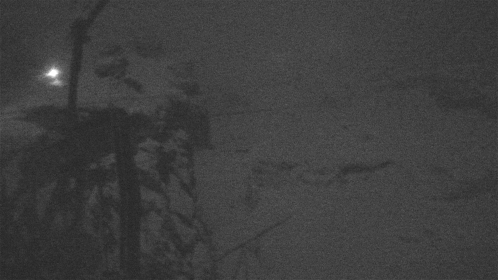 Webcam Titlis Engelberg: Steinberg