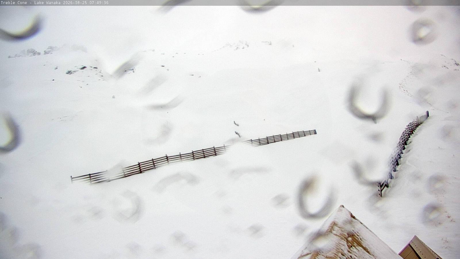 Webcam Treble Cone: Saddle basin