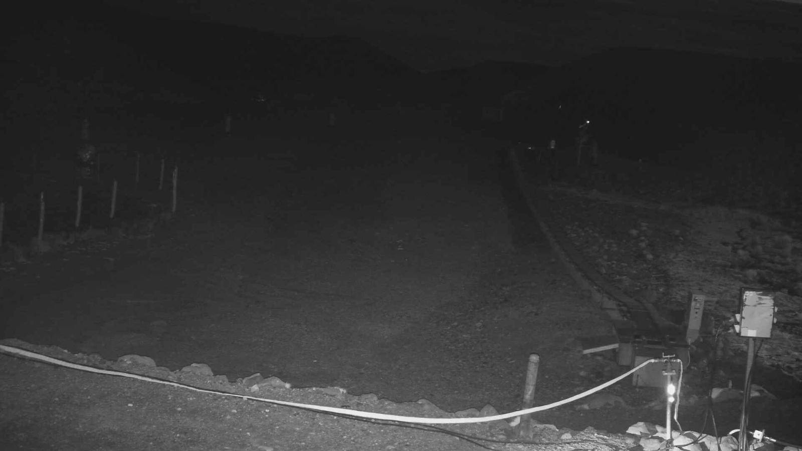 Webcam Turoa: Alpine meadown