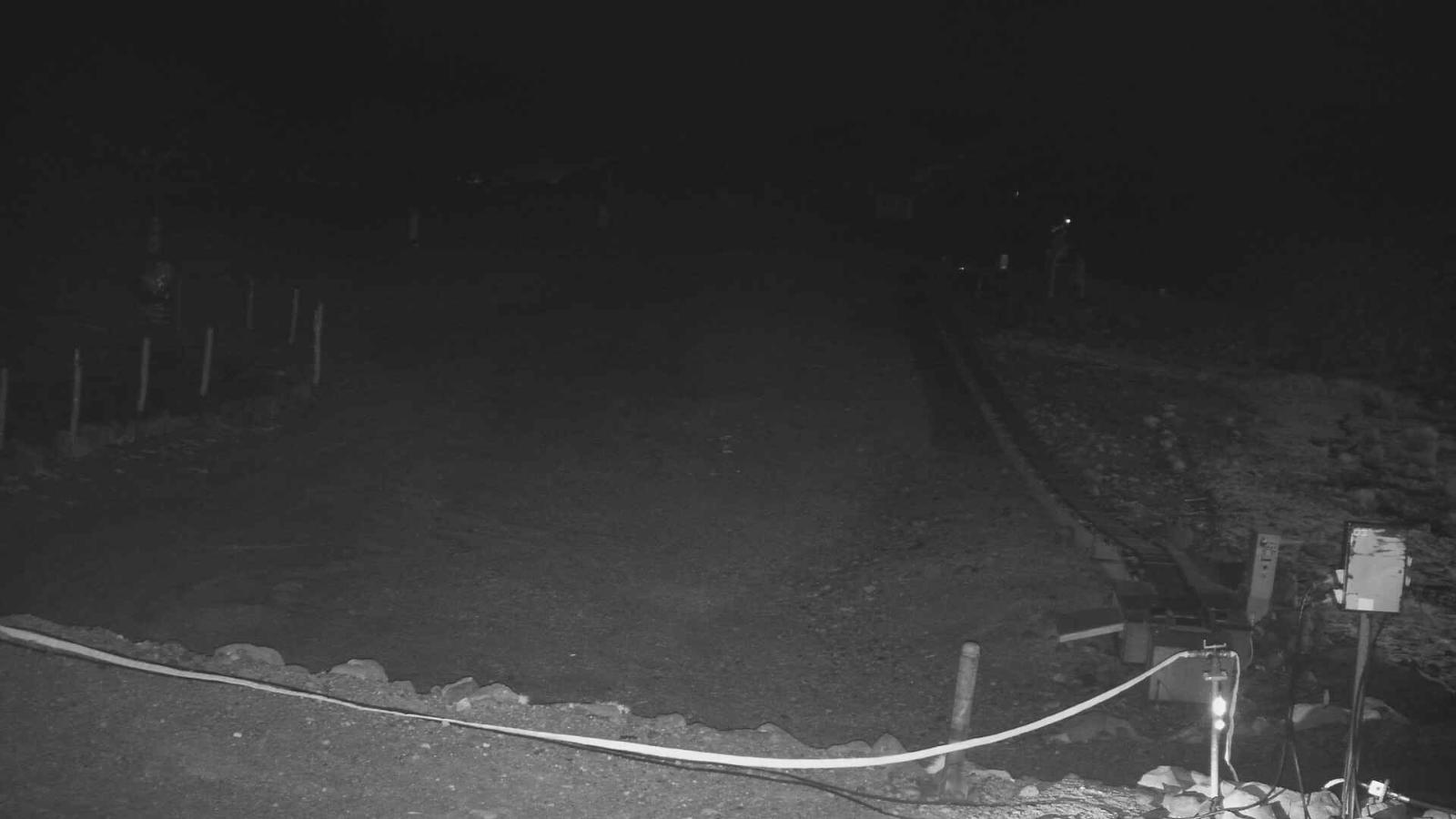 Webcam Turoa: Alpine meadown