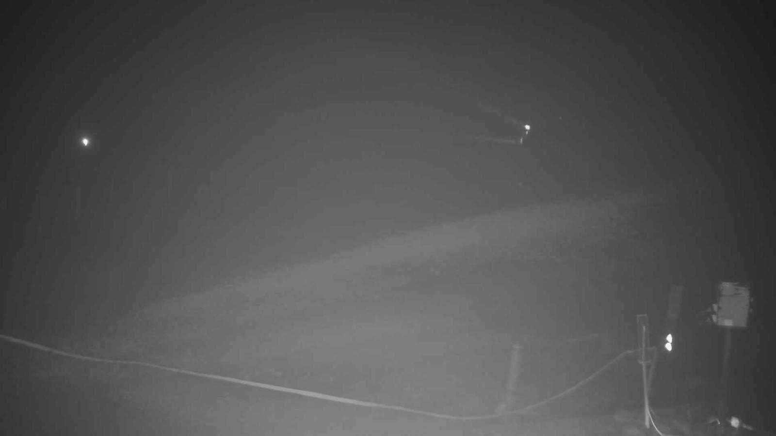Webcam Turoa: Alpine meadown