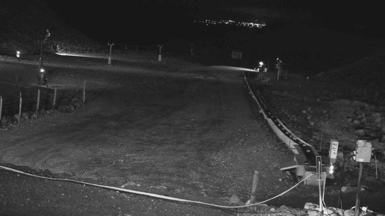 Webcam Turoa: Alpine meadown