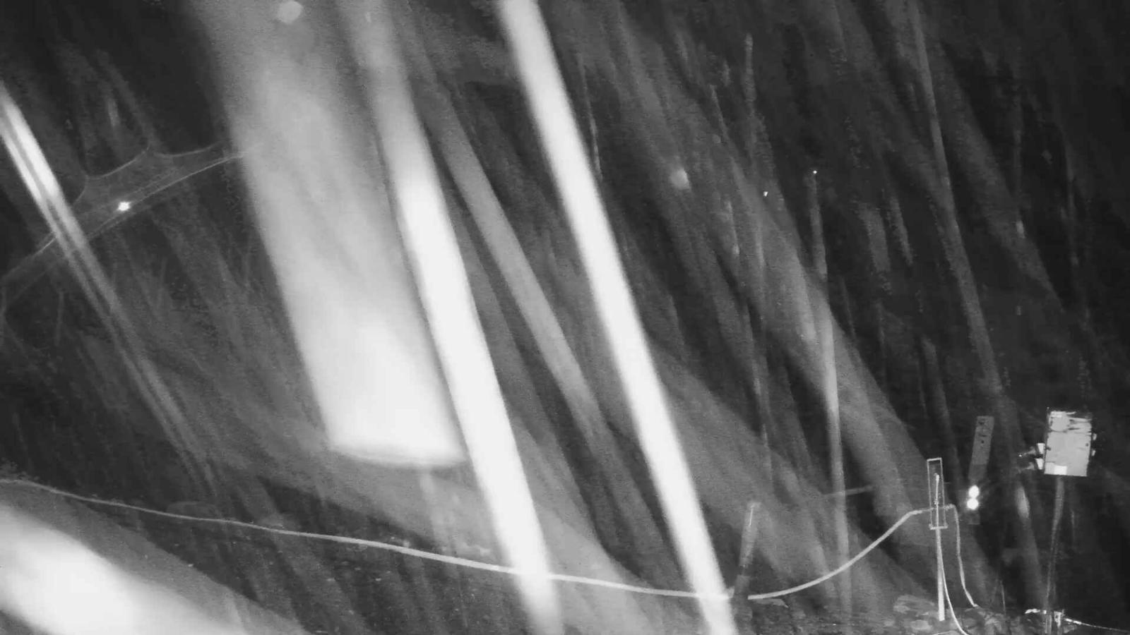 Webcam Turoa: Alpine meadown