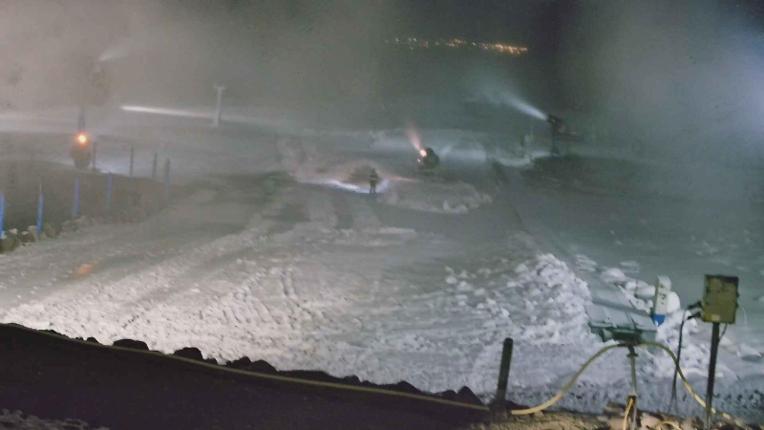 Webcam Turoa: Alpine meadown
