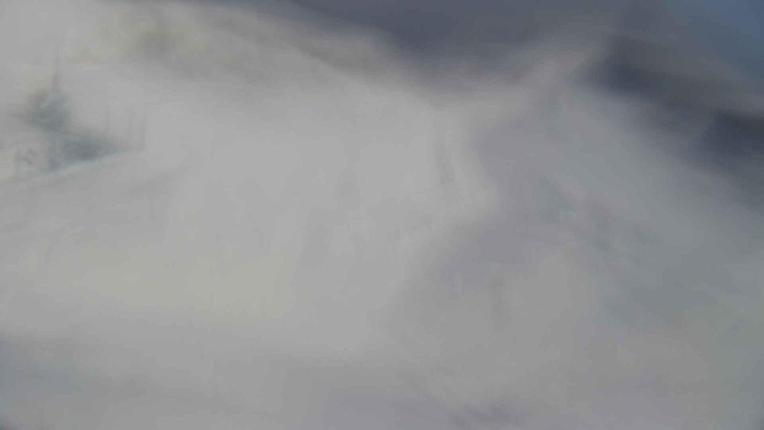 Webcam Turoa: Alpine meadown