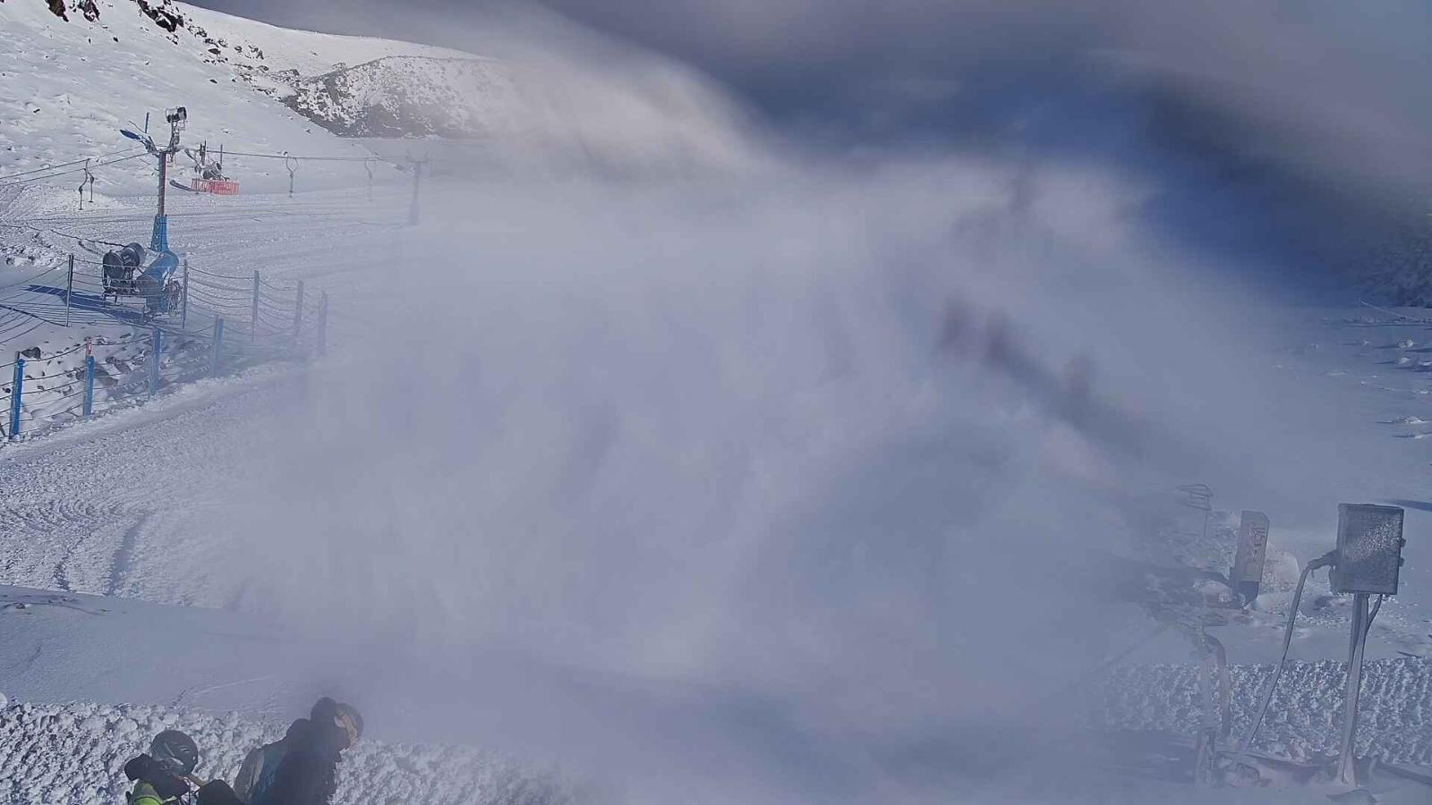 Webcam Turoa: Alpine meadown