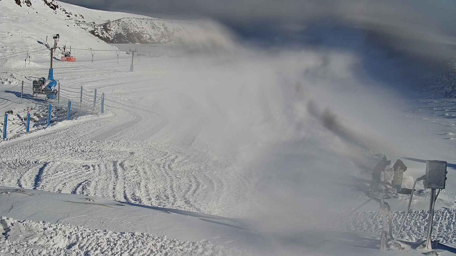 Webcam Turoa: Alpine meadown