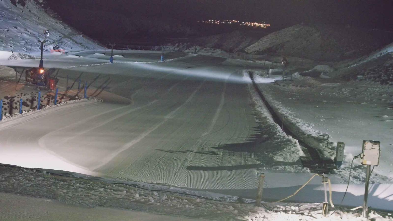Webcam Turoa: Alpine meadown