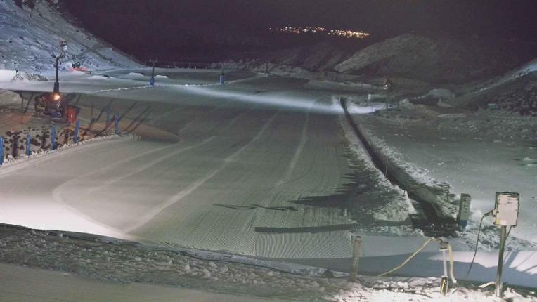 Webcam Turoa: Alpine meadown