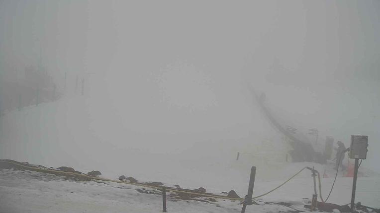 Webcam Turoa: Alpine meadown