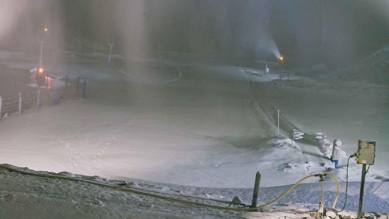 Webcam Turoa: Alpine meadown
