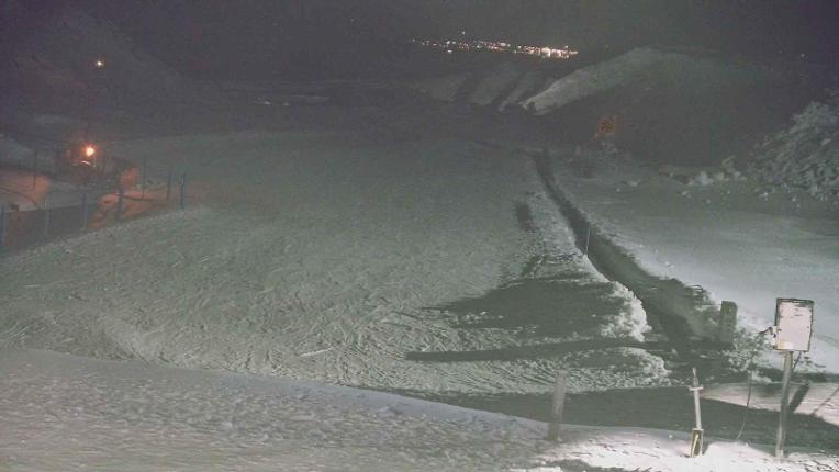 Webcam Turoa: Alpine meadown