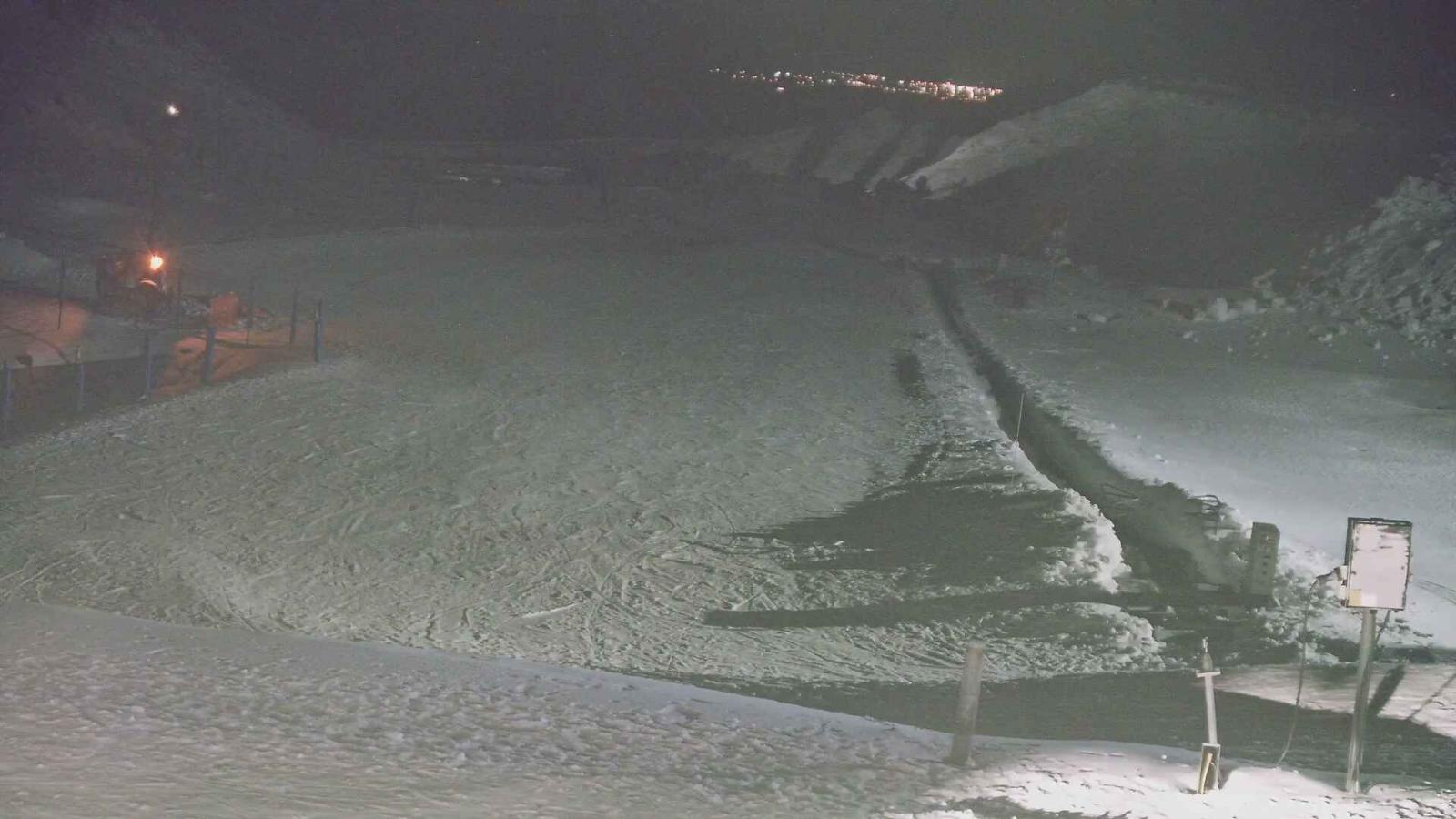 Webcam Turoa: Alpine meadown