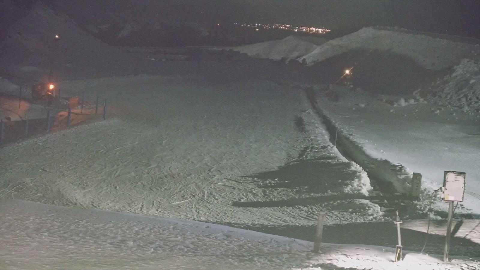 Webcam Turoa: Alpine meadown